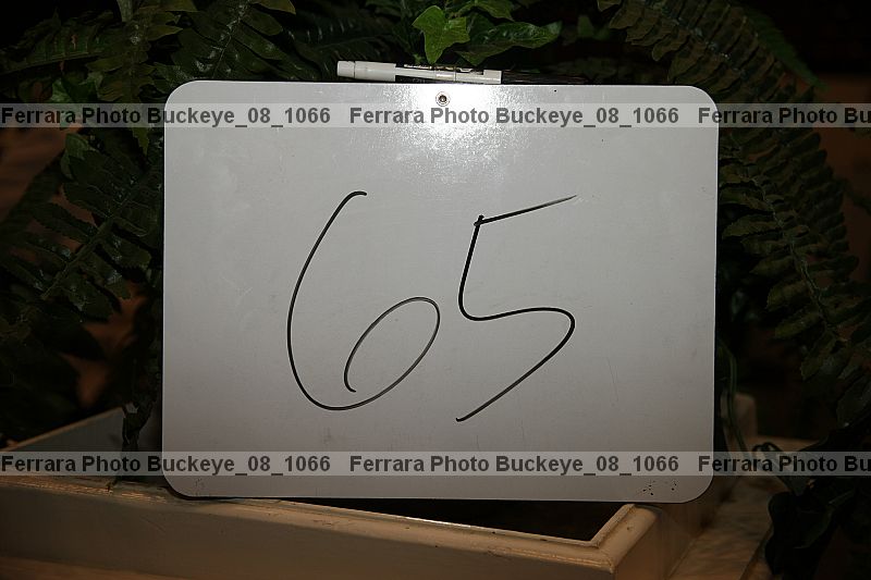 Proof buckeye_08_1066