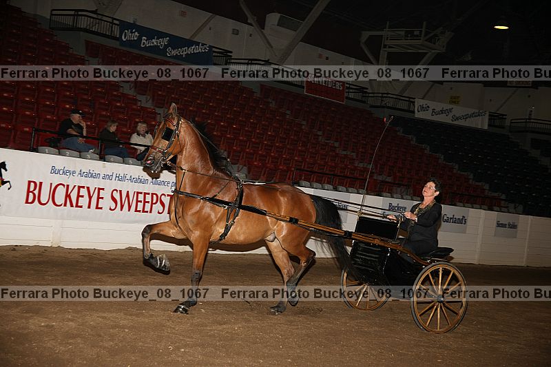 Proof buckeye_08_1067