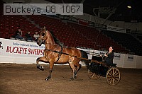 buckeye_08_1067 proof