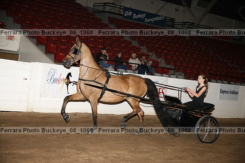Proof buckeye_08_1068