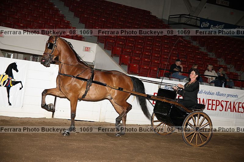 Proof buckeye_08_1069