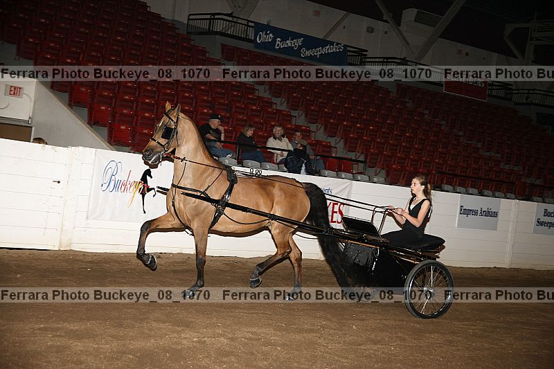 Proof buckeye_08_1070