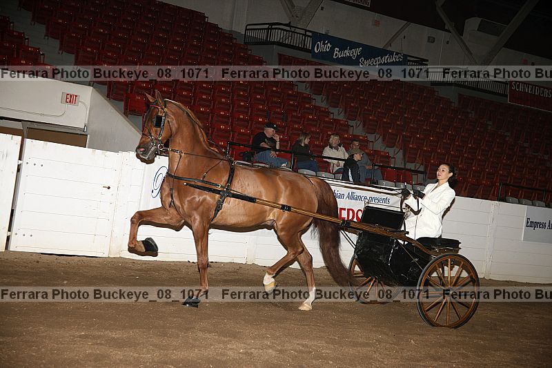 Proof buckeye_08_1071