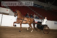 buckeye_08_1071 proof