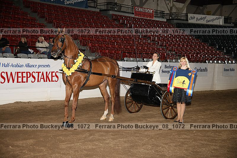 Proof buckeye_08_1072