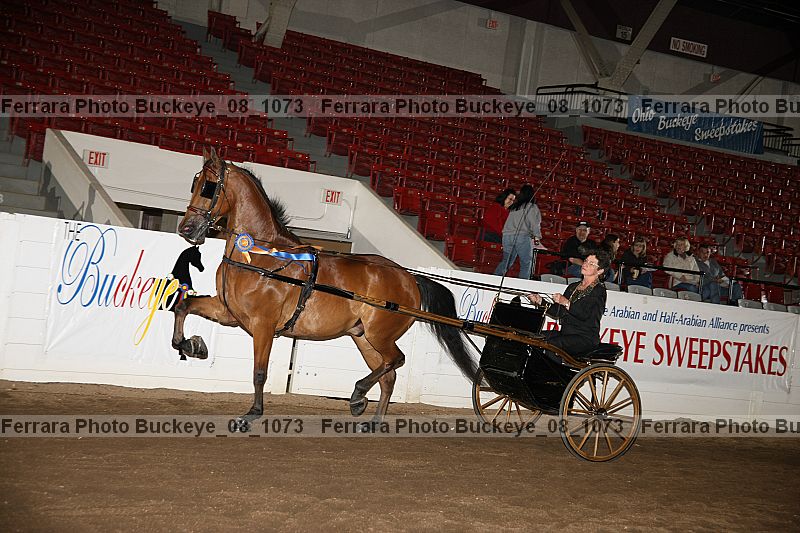 Proof buckeye_08_1073