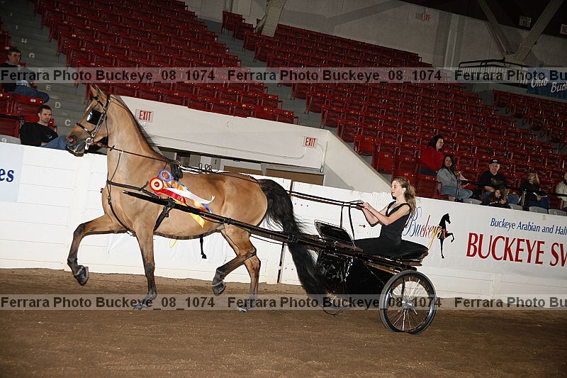 Proof buckeye_08_1074