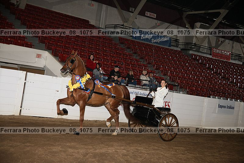 Proof buckeye_08_1075