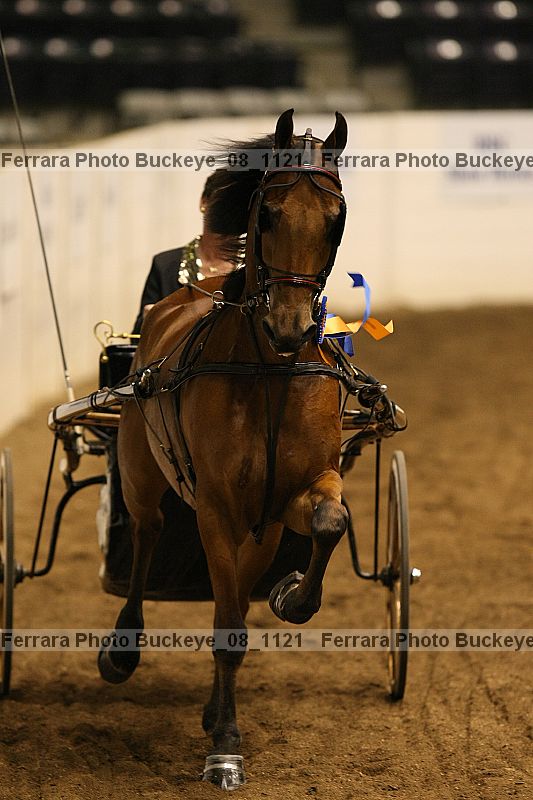 Proof buckeye_08_1121
