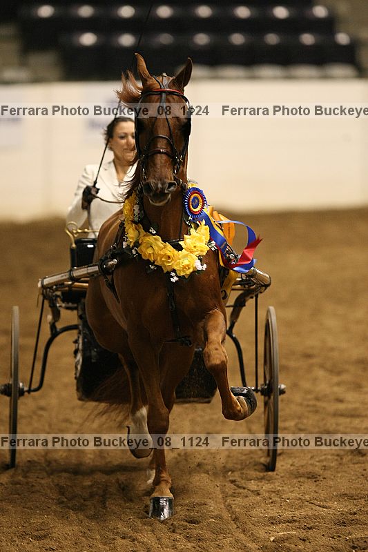 Proof buckeye_08_1124