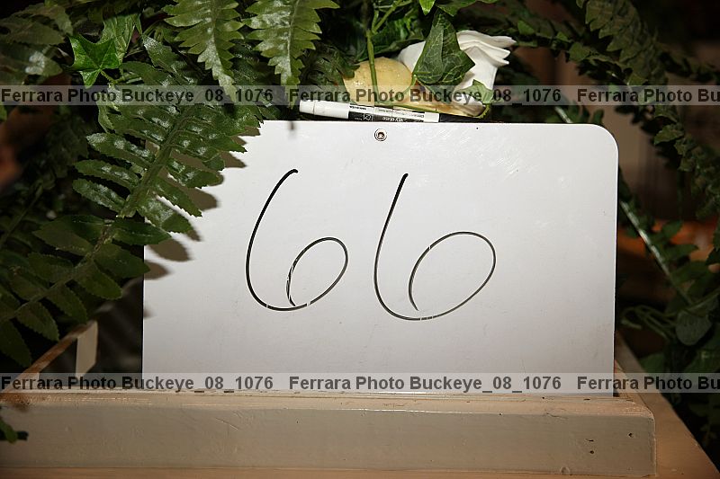 Proof buckeye_08_1076