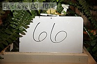 buckeye_08_1076 proof