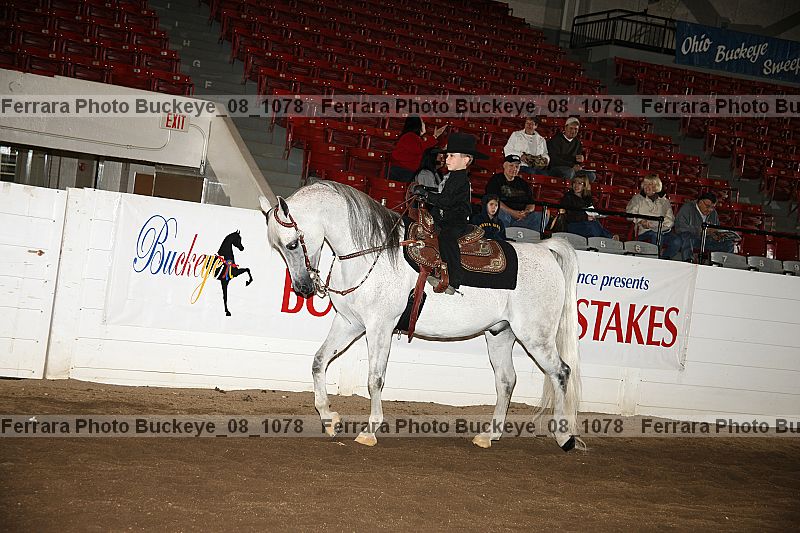Proof buckeye_08_1078