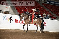 buckeye_08_1079 proof