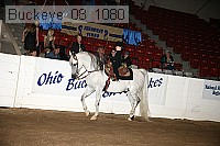 buckeye_08_1080 proof