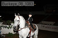 buckeye_08_1083 proof