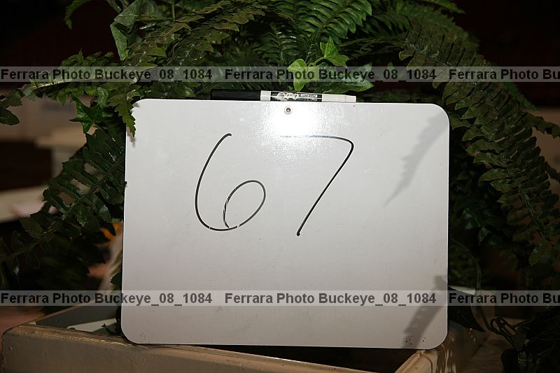 Proof buckeye_08_1084