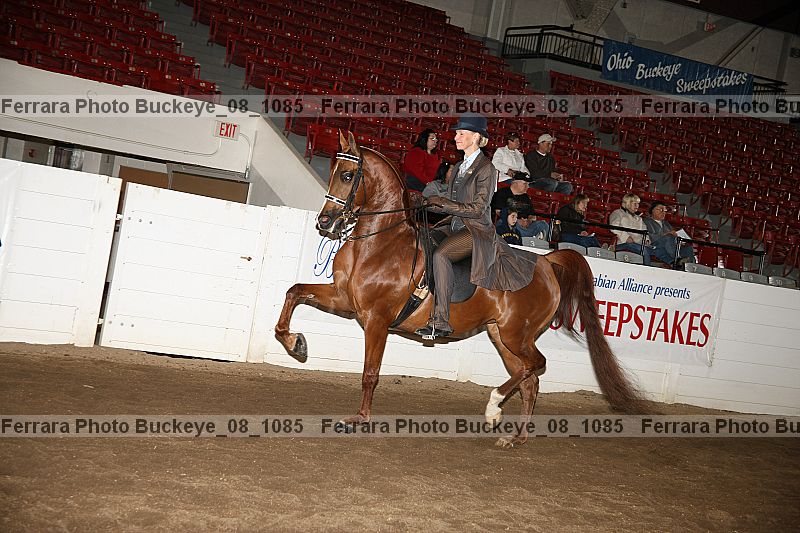 Proof buckeye_08_1085