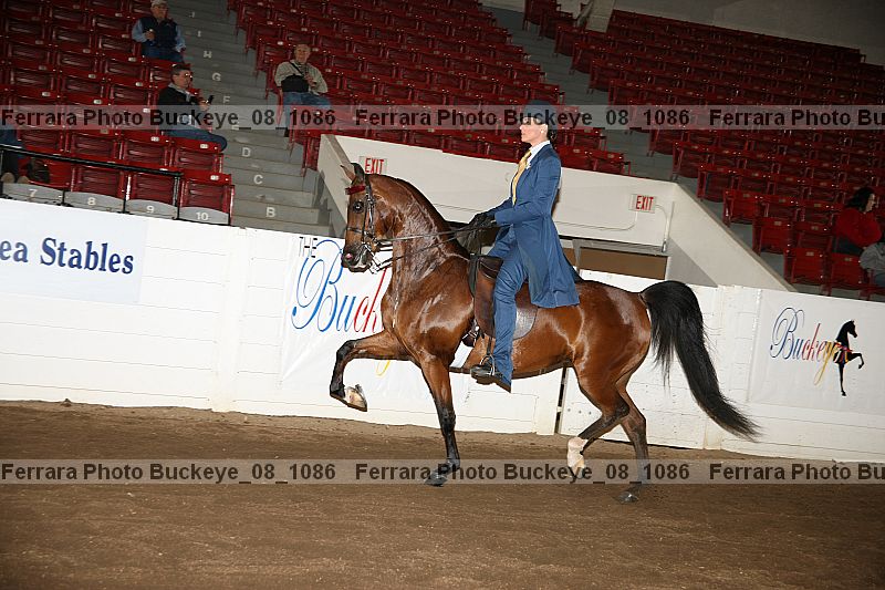 Proof buckeye_08_1086