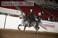 buckeye_08_1087 proof