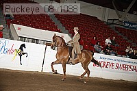 buckeye_08_1088 proof