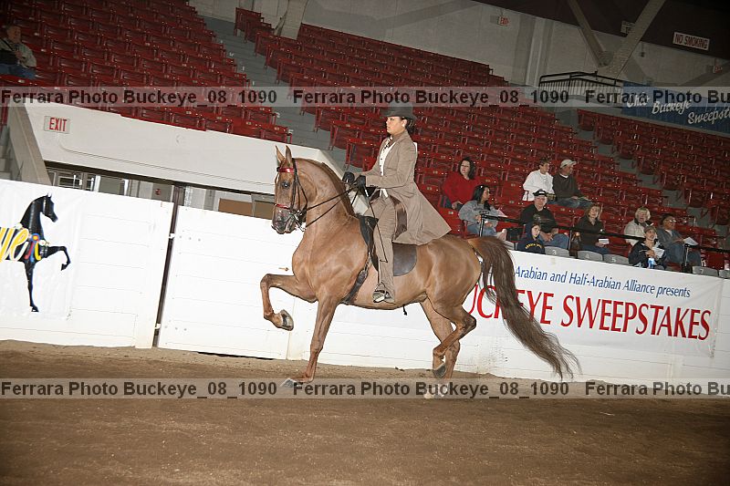 Proof buckeye_08_1090