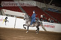 buckeye_08_1092 proof