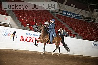 buckeye_08_1094 proof