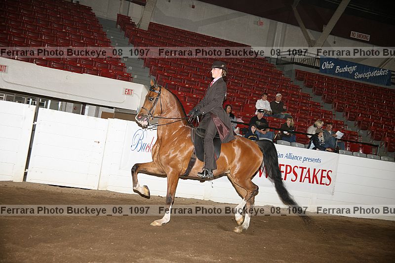 Proof buckeye_08_1097