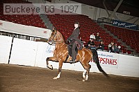 buckeye_08_1097 proof