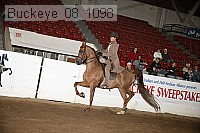 buckeye_08_1098 proof