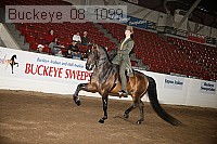 buckeye_08_1099 proof