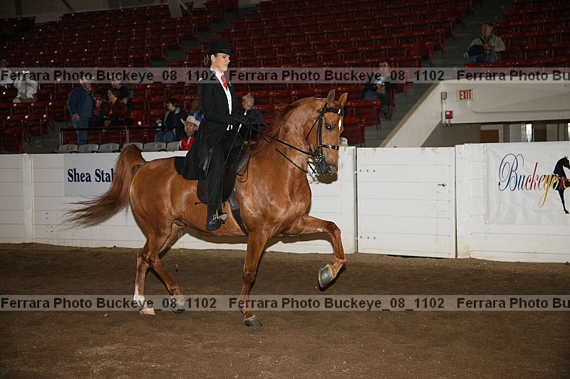 Proof buckeye_08_1102