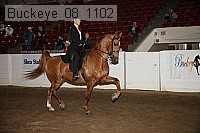 buckeye_08_1102 proof