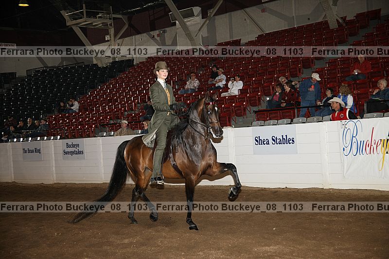 Proof buckeye_08_1103