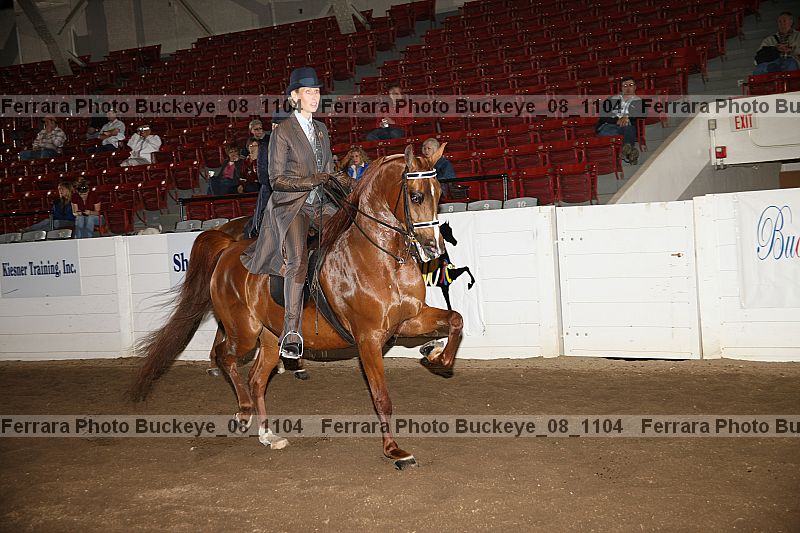 Proof buckeye_08_1104