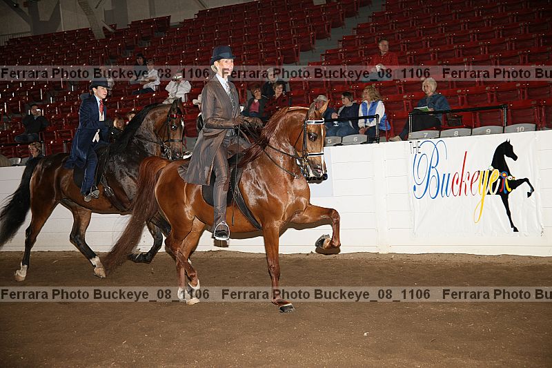 Proof buckeye_08_1106