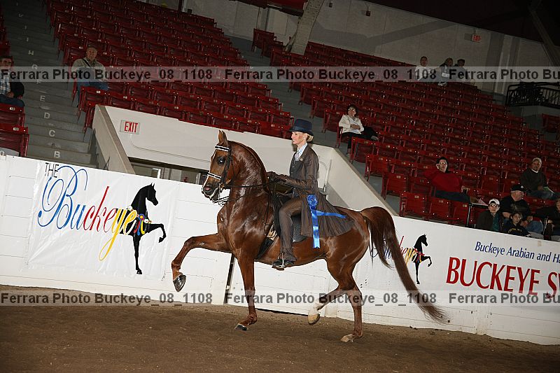 Proof buckeye_08_1108