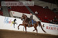 buckeye_08_1108 proof