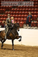 buckeye_08_1151 proof