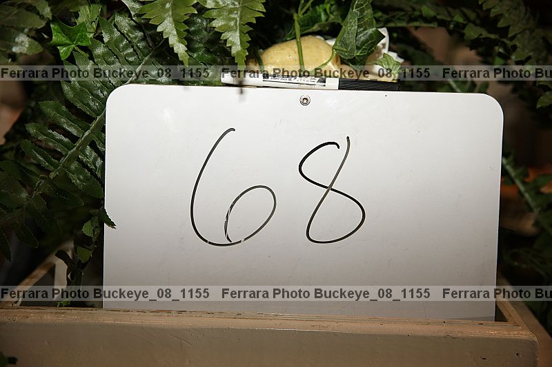 Proof buckeye_08_1155