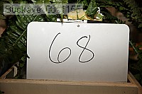 buckeye_08_1155 proof