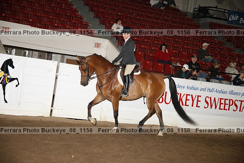 Proof buckeye_08_1156