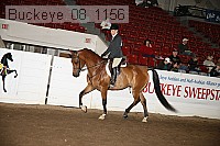 buckeye_08_1156 proof