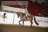 buckeye_08_1157 proof