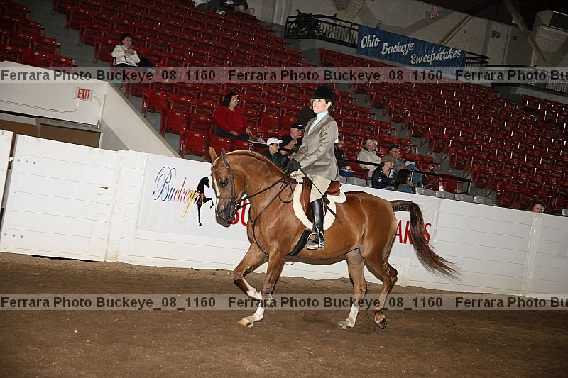Proof buckeye_08_1160