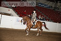 buckeye_08_1160 proof