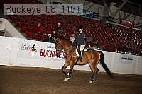 buckeye_08_1161 proof