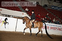 buckeye_08_1162 proof