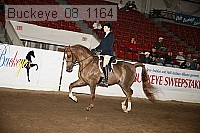 buckeye_08_1164 proof